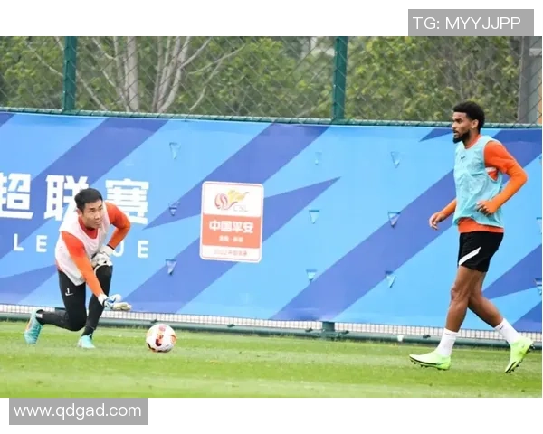 西安网球队在杯赛中的节奏表现分析与评估